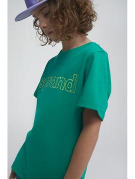 T-shirt ss21-tsb002 zielony regular fit na raty