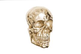 Dekoracja ścienna skull 40cm złota invicta na raty