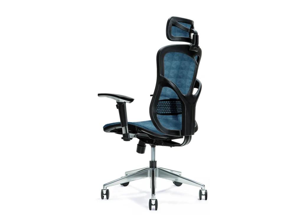 Ergonomiczny fotel biurowy ERGO 500 niebieski na raty